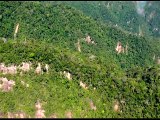 26 de junio, Día Internacional de los Bosques Tropicales
