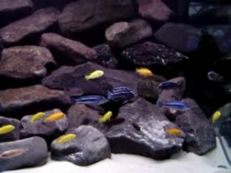 Bac Malawi 130x70x60