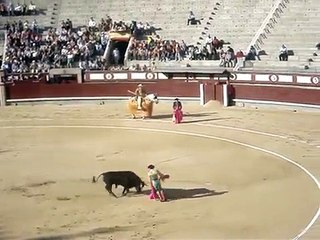 Bullfighting in Spain/Toreo en España