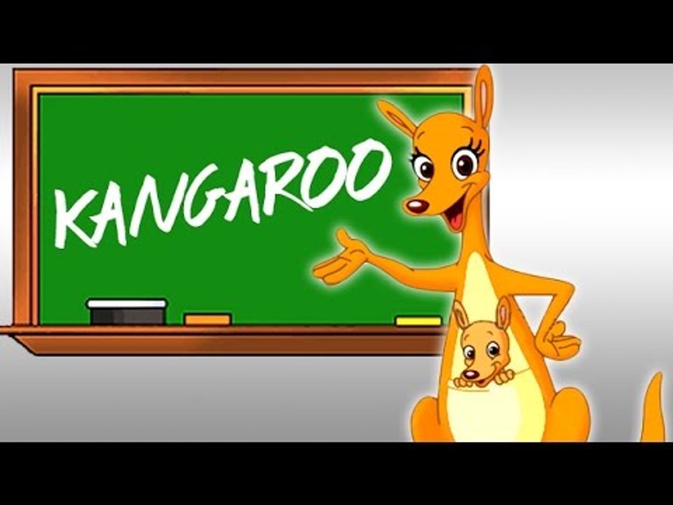 How to Pronounce 'KANGAROO'?