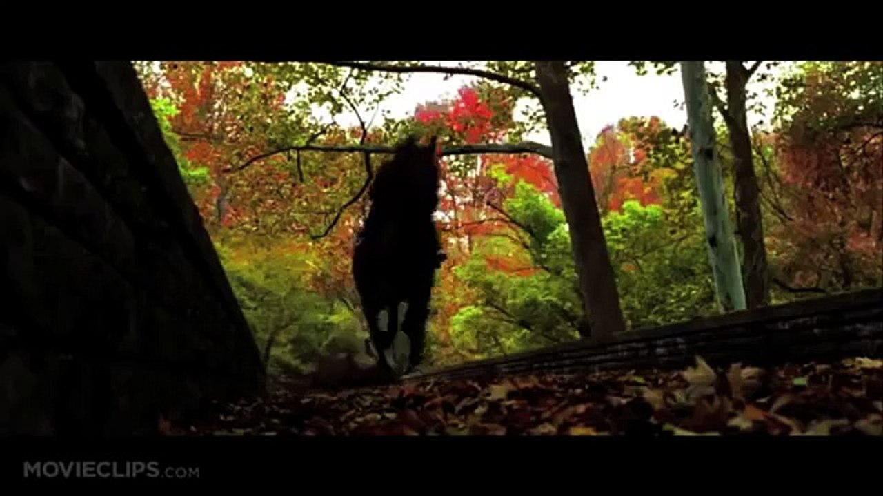 Radio Active - Horses