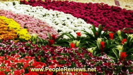 Lal Bagh, Bangalore, Karnataka, India