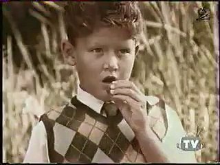 The Greedy boy and Smart Elephant Story