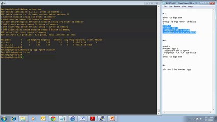 11 - PE to PE Routing Sessions