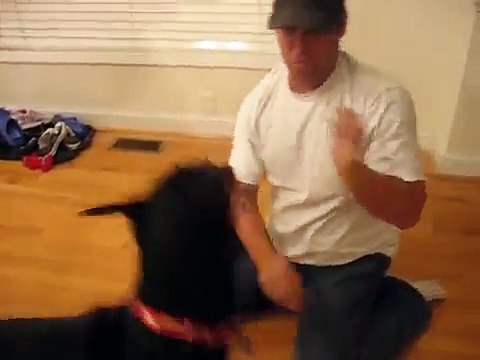 Vicious Doberman Attack on Owner...But Owner Bites Back