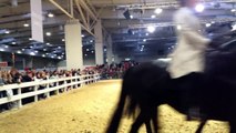 Pferd & Jagd 2014 Hannover: Vorführung der Gangpferde