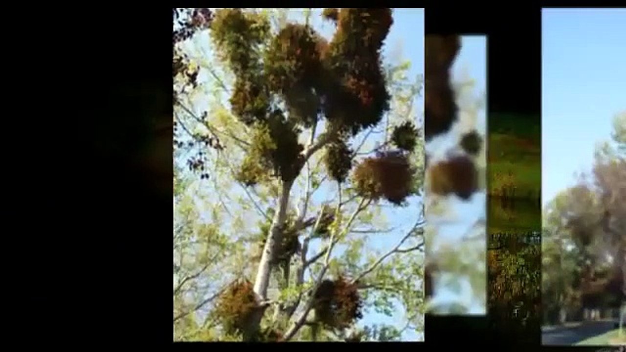 Gracias Señor, por este día