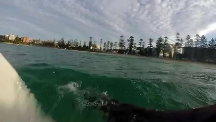 Great White Shark Circles Around Surfer