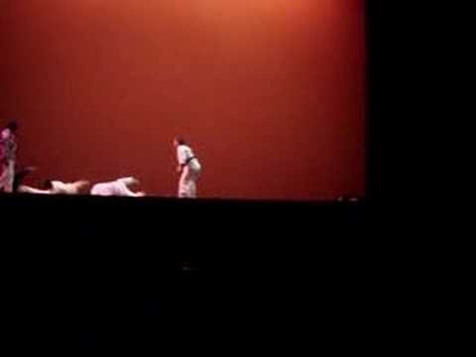 UMASS TAEKWONDO - ASIAN NIGHT 2008