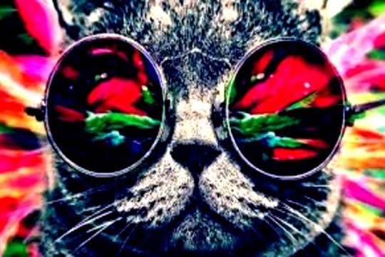 Progressive House [Dj Catan Track]