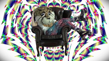 Djämes Braun - Farlig Tiger (Officiel Musikvideo) ExtremlymTorrents