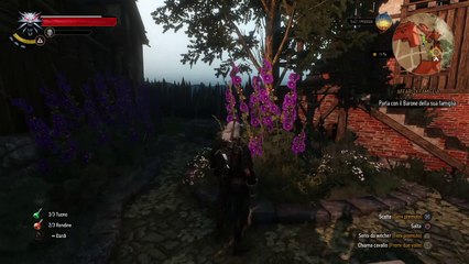 The Witcher 3: Ciri 03