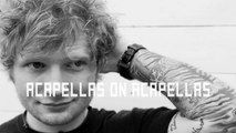 Ed Sheeran - Don't | ACAPELLA & DRUMS | Almost Studio Quality