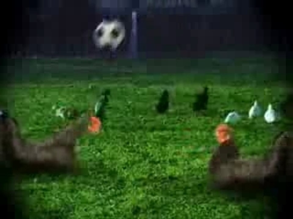 Chicken-soccer