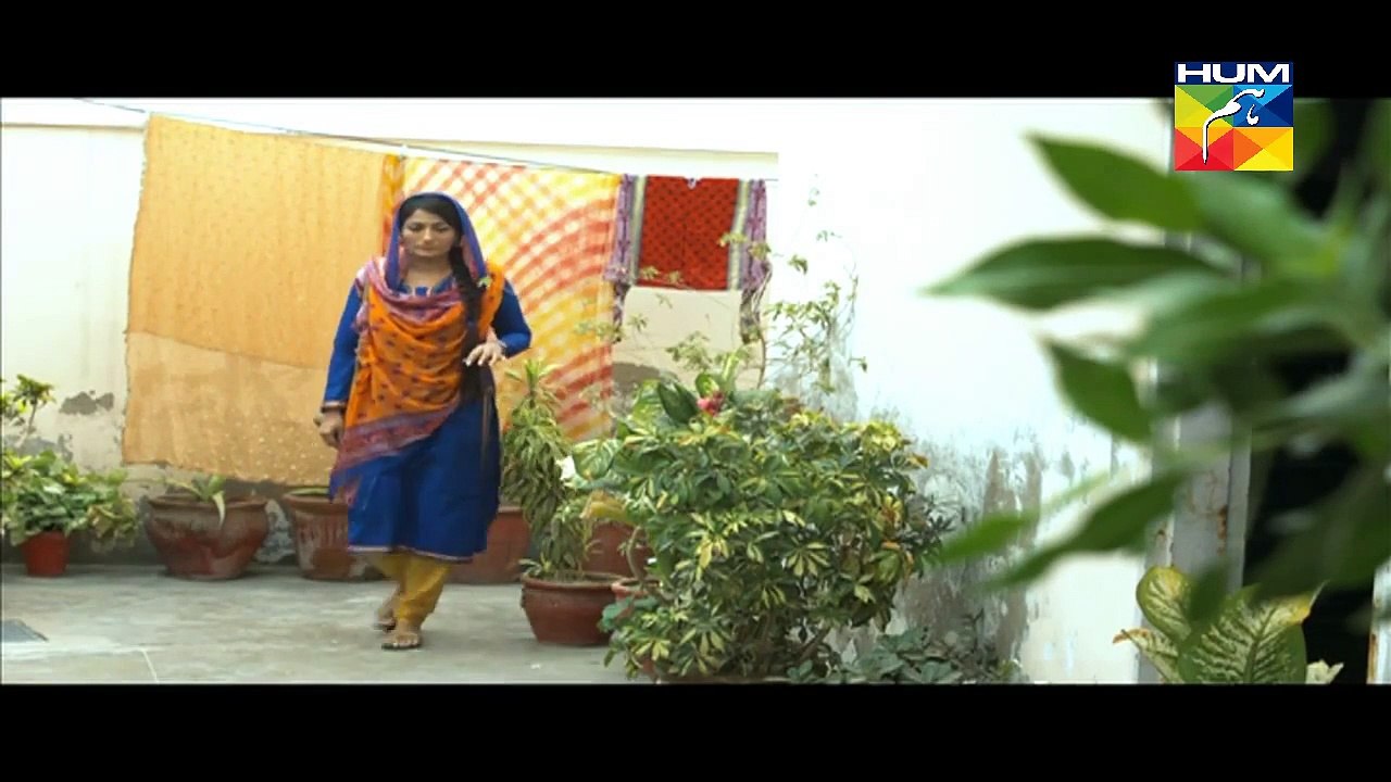 Jugnoo Episode 11 on Hum Tv - 26th June 2015