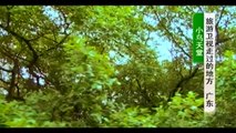 [Beautiful China 720HD] Bird Paradise / Scenery of Guangdong Province