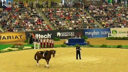WEG Final Vaulting USA World Equestrian Games