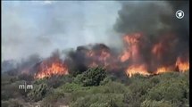Waldbrände in Südeuropa