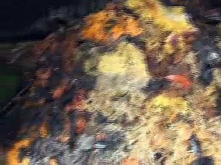 Kashmir backry turns into ashes by fire