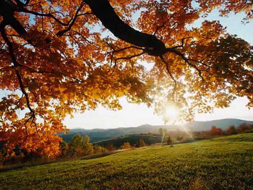 Beauty Of Nature By Allah