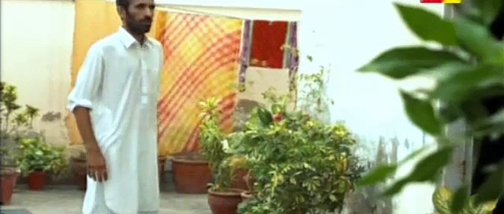 Jugnoo Episode 11 Full Hum TV Drama 26 June 2015