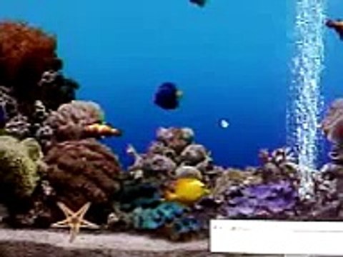 Moving Fish Aquarium as Desktop Wallpaper