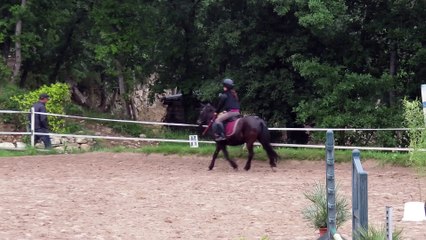 1 mai 2015 chute poney F