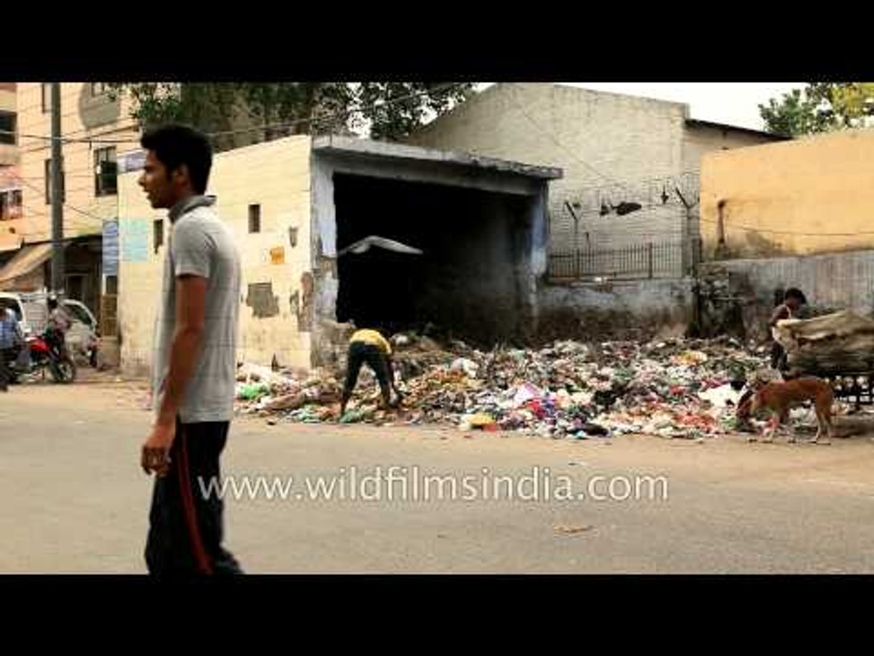 Delhi turns into 'garbage capital'