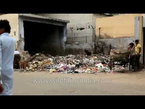 Garbage dumped on Delhi streets