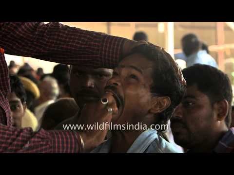 Bathini Brothers Fish medicine for asthma patients at Nampally Exhibition ground, Hyderabad