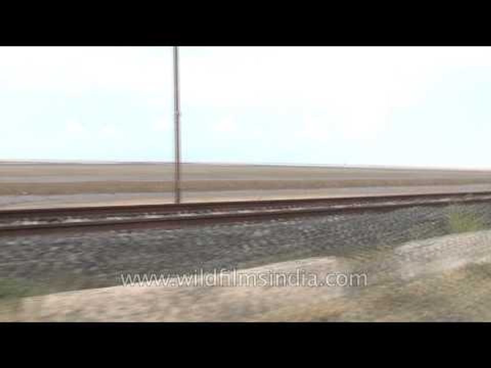 Drive through Bhavnagar, Gujarat
