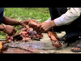 Chopping up sheep at a Himalayan meadows