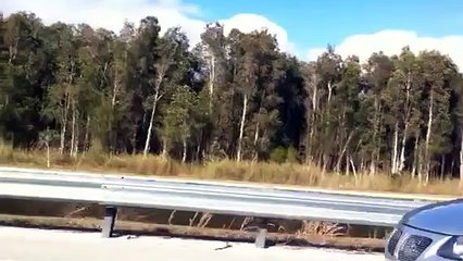 Pontiac GTO vs. Mustang GT