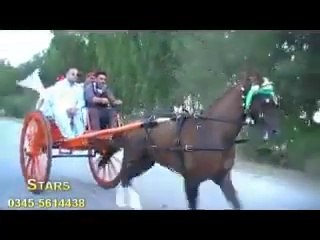 JIGER HORSE RACE TRY(AHMAD SHAH )