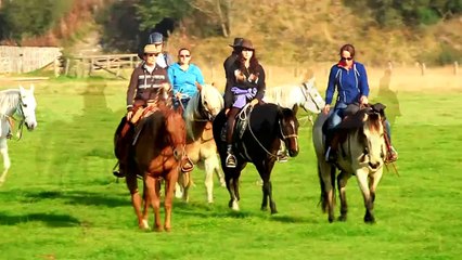 whole lotta you {Parelli camp Ardennen 5}