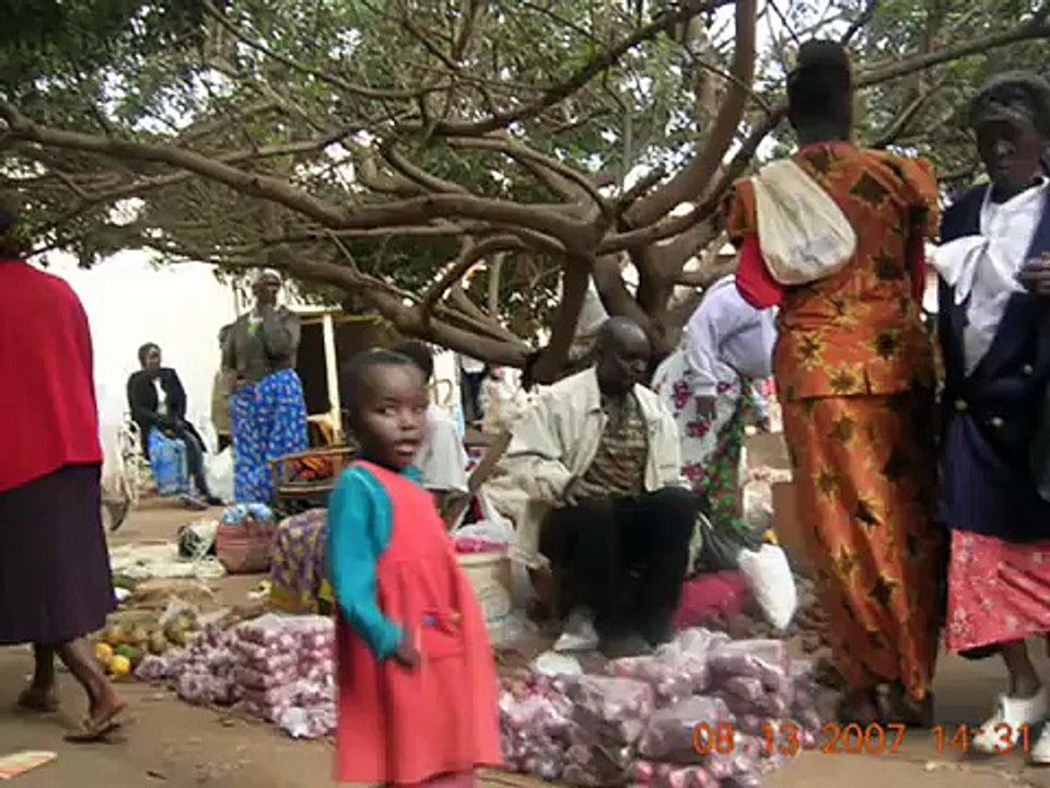 Peter Muambi -  musikali