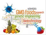What is GMO? (Genetically Modified Organisms)