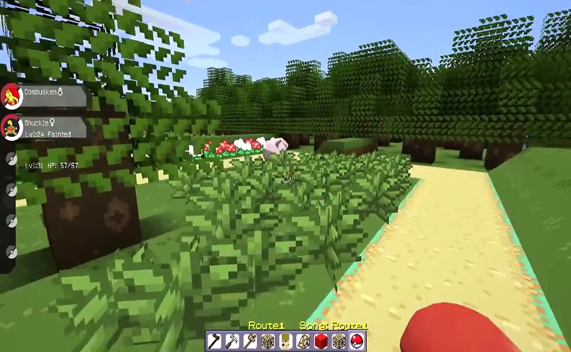 Minecraft Pixelmon - Background Music!