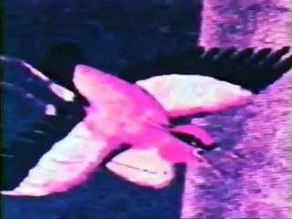 Toshio Matsumoto - Everything visible is empty (1975)