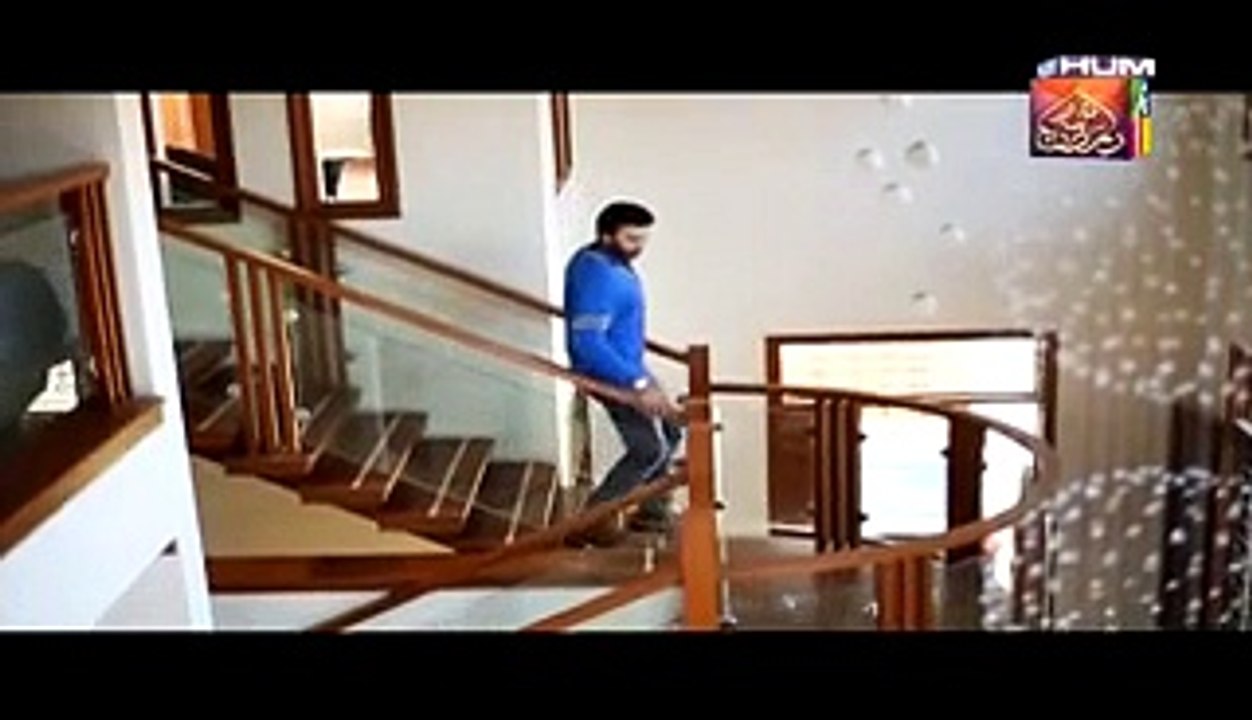 Dil Ka Kya Rung Karun Episode 17 Full  on Hum Tv - 26th June 2015