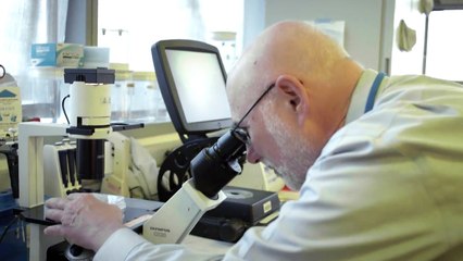 Fight Against Cancer Advances with 13 Million in Grant Funding for Innovative Research | Mary Kay