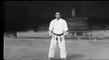 Old Heian Nidan shotokan karate kata jka