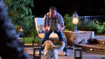 The Dog Who Saved Summer (2015) Full Movie Streaming Online in HD-720p Video Quality