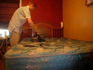 Kirby sentria cleaning your mattress