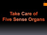 5 sense organs and its Importance