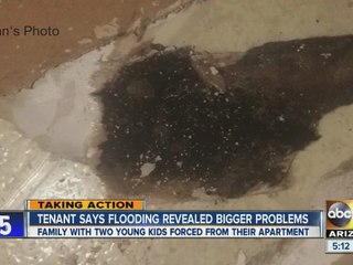 Apache Junction apartment tenant says flooding revealed bigger problem of black mold