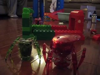 Hexbug Inchworm vs. spider