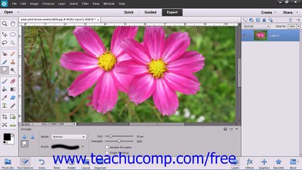 Photoshop Elements 12 Tutorial Blurring & Sharpening Images Adobe Training Lesson 13.6