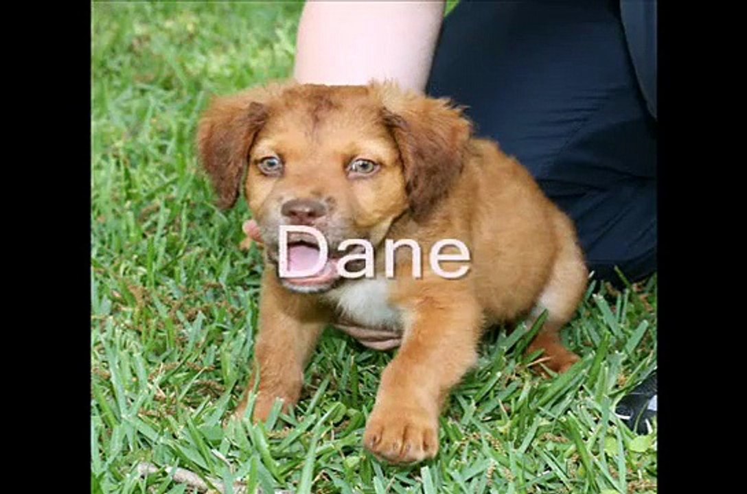 daisy dane duke dylan project 0001