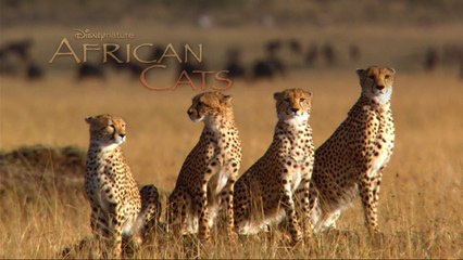 Watch African Cats => HD 1080p Free ? HD Movie Online